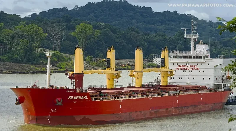SEAPEARL Bulk Carrier IMO 9594468 photo 3