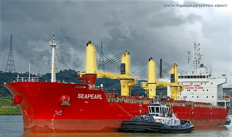 SEAPEARL Bulk Carrier IMO 9594468 photo 4