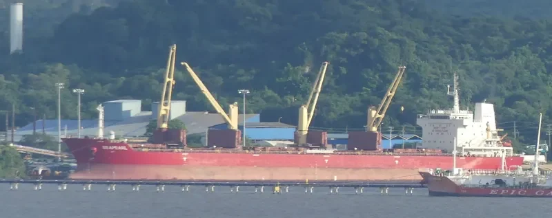 SEAPEARL Bulk Carrier IMO 9594468 photo 5