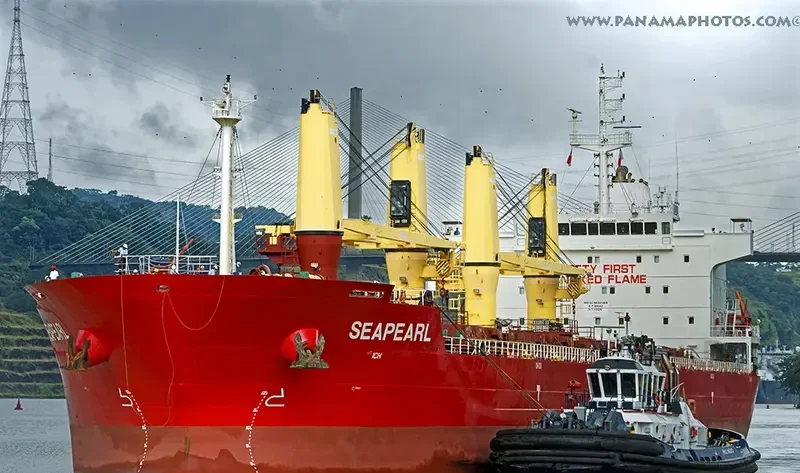 SEAPEARL Bulk Carrier IMO 9594468 photo 6