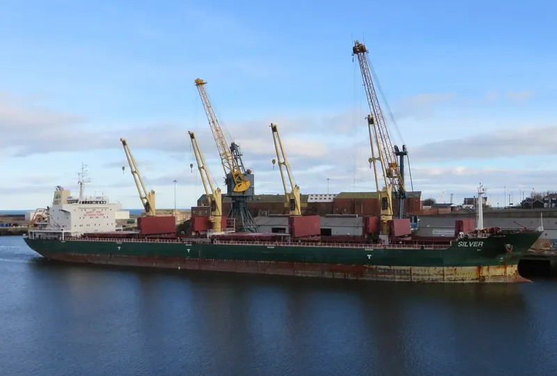 SEAPEARL Bulk Carrier IMO 9594468 photo 7