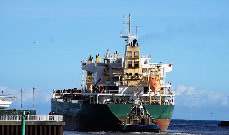 SEAPEARL Bulk Carrier IMO 9594468 photo 8