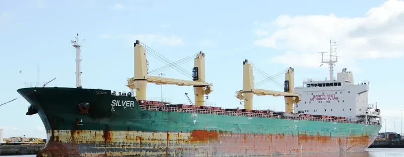 SEAPEARL Bulk Carrier IMO 9594468 photo 9