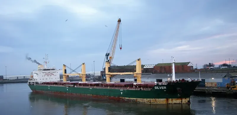 SEAPEARL Bulk Carrier IMO 9594468 photo 10