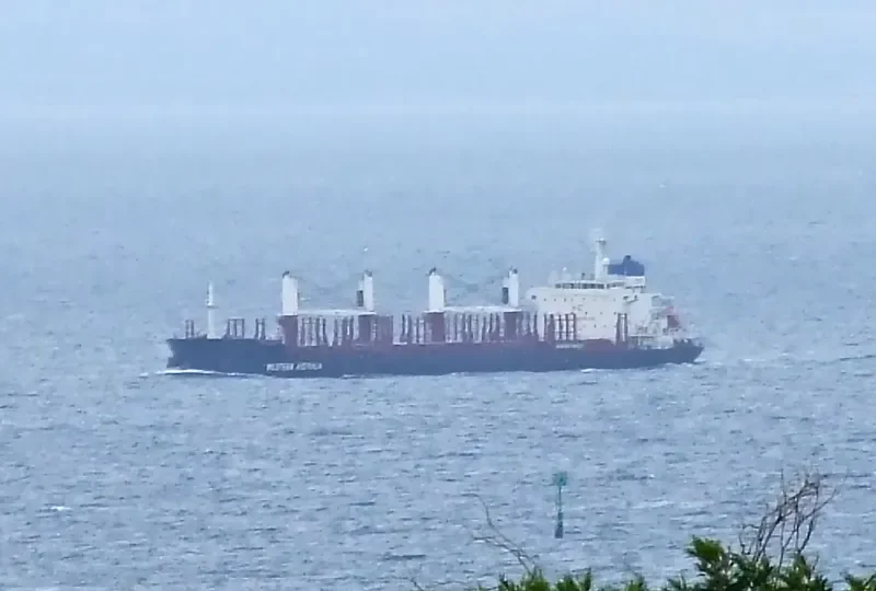 CLIPPER TYNE Bulk Carrier IMO 9594535 photo 7