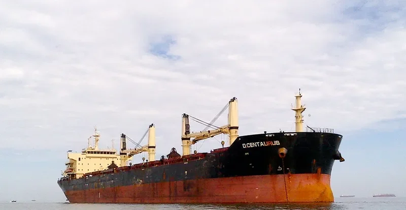 STAR CENTAURUS Bulk Carrier IMO 9594585