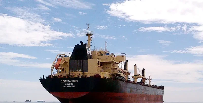 STAR CENTAURUS Bulk Carrier IMO 9594585 photo 2