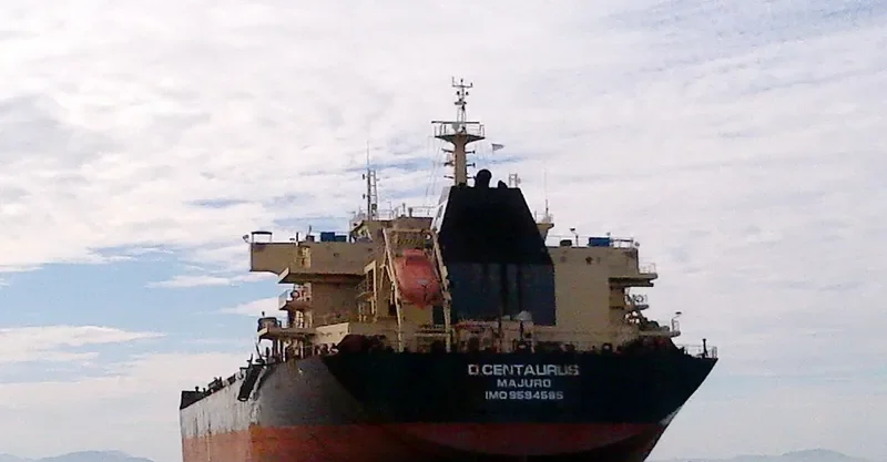 STAR CENTAURUS Bulk Carrier IMO 9594585 photo 3