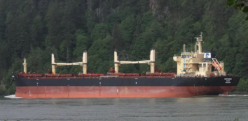 STAR CENTAURUS Bulk Carrier IMO 9594585 photo 4