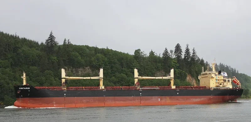 STAR CENTAURUS Bulk Carrier IMO 9594585 photo 5