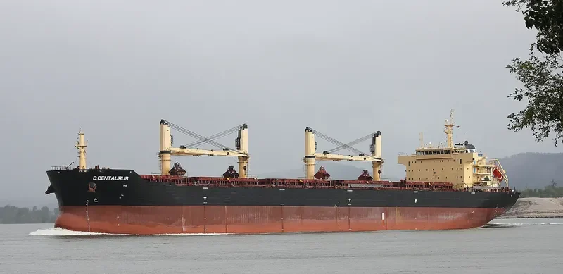 STAR CENTAURUS Bulk Carrier IMO 9594585 photo 6