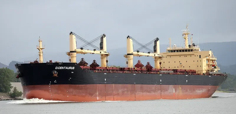 STAR CENTAURUS Bulk Carrier IMO 9594585 photo 7