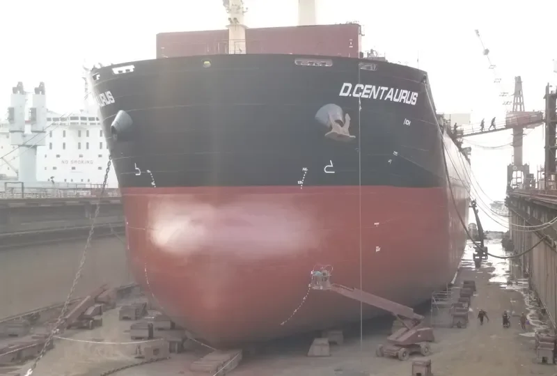STAR CENTAURUS Bulk Carrier IMO 9594585 photo 8