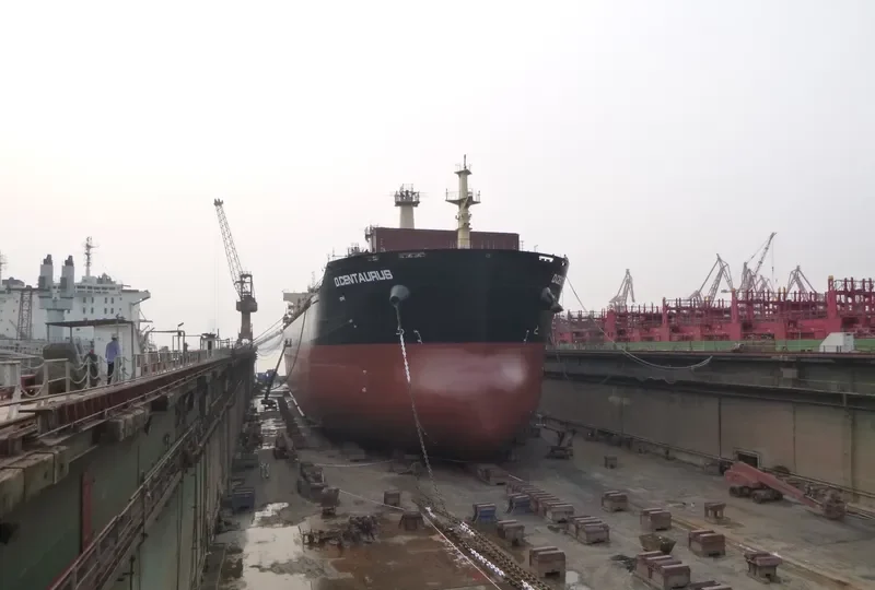 STAR CENTAURUS Bulk Carrier IMO 9594585 photo 9