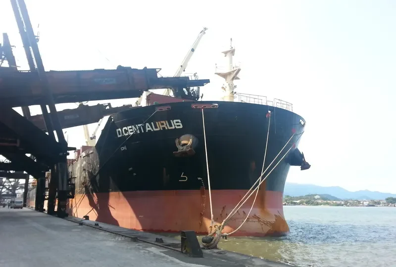 STAR CENTAURUS Bulk Carrier IMO 9594585 photo 10
