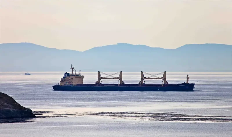 STAR CEPHEUS Bulk Carrier IMO 9594597