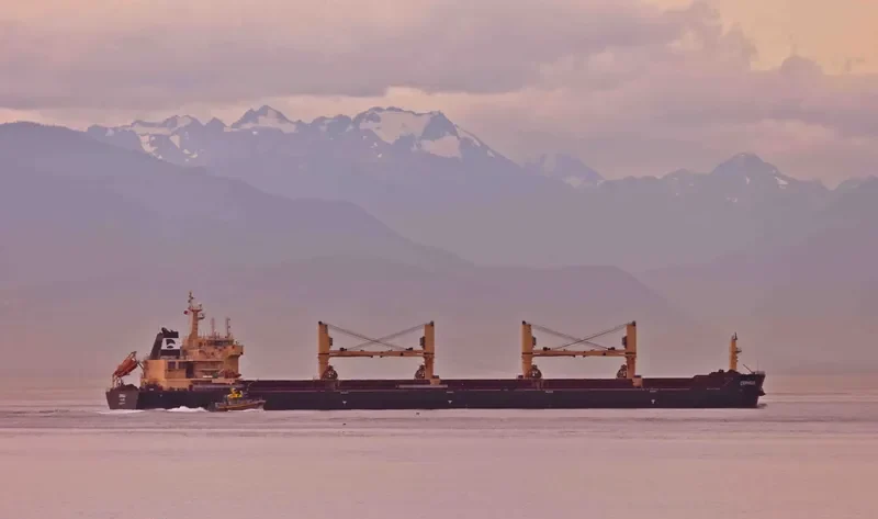 STAR CEPHEUS Bulk Carrier IMO 9594597 photo 2