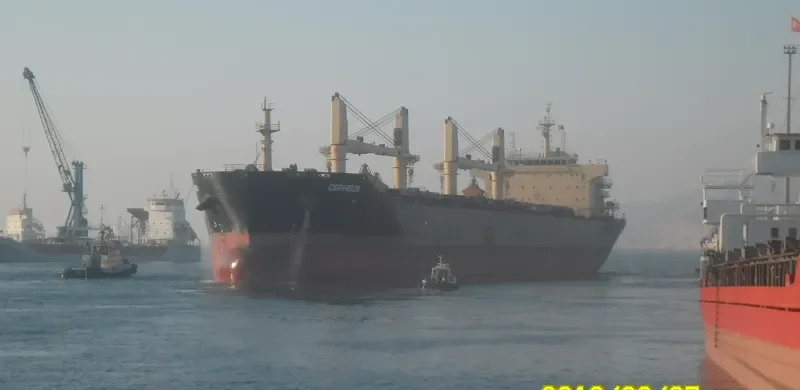 STAR CEPHEUS Bulk Carrier IMO 9594597 photo 8
