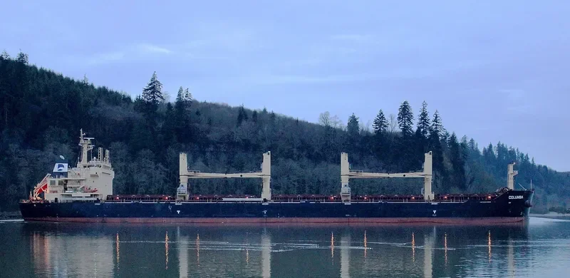 COLUMBA Bulk Carrier IMO 9594602 photo 8