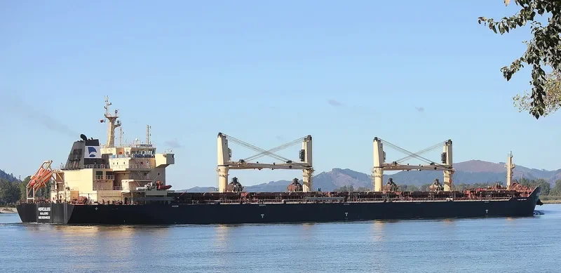 STAR HERCULES Bulk Carrier IMO 9594626 photo 3