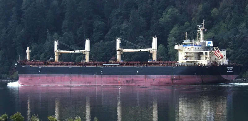 STAR HERCULES Bulk Carrier IMO 9594626 photo 4