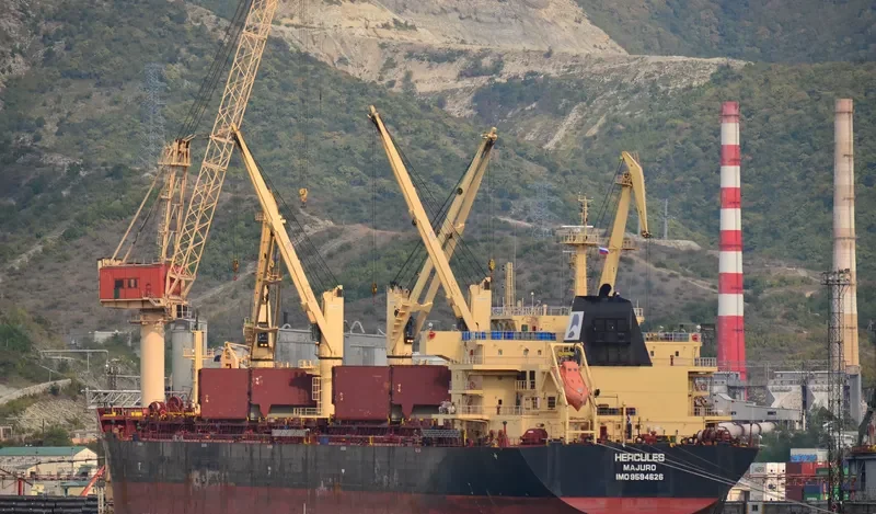 STAR HERCULES Bulk Carrier IMO 9594626 photo 5