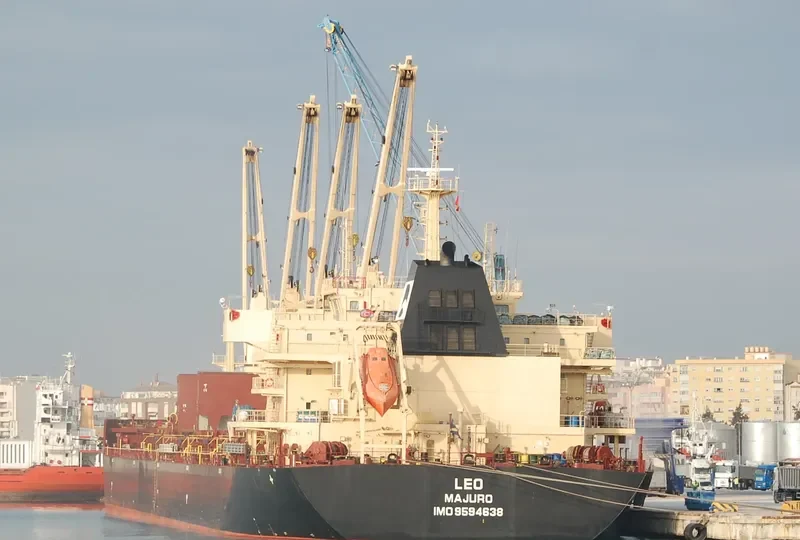 STAR CLEO Bulk Carrier IMO 9594638 photo 4