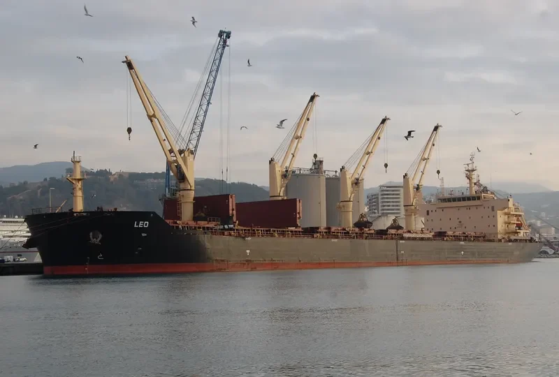 STAR CLEO Bulk Carrier IMO 9594638 photo 6