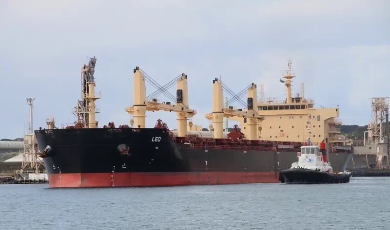 STAR CLEO Bulk Carrier IMO 9594638 photo 8