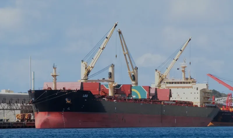 STAR CLEO Bulk Carrier IMO 9594638 photo 9
