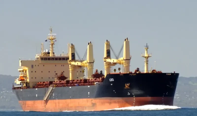 STAR CLEO Bulk Carrier IMO 9594638 photo 10