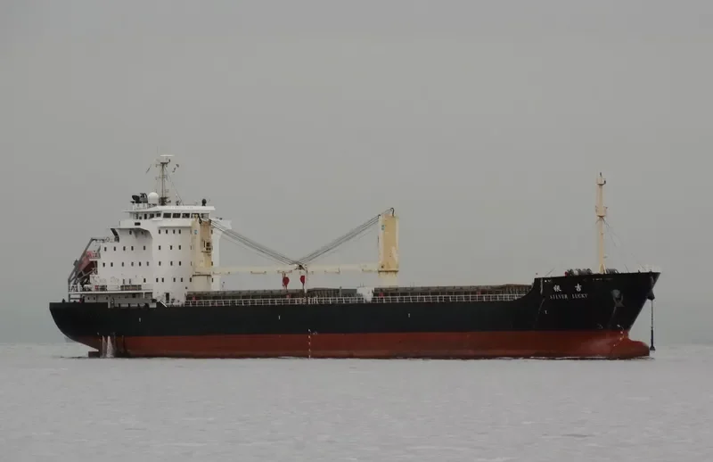 SILVER LUCKY General Cargo IMO 9594676 photo 3