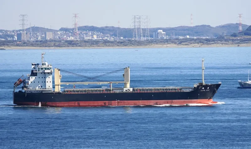 SILVER LUCKY General Cargo IMO 9594676 photo 8