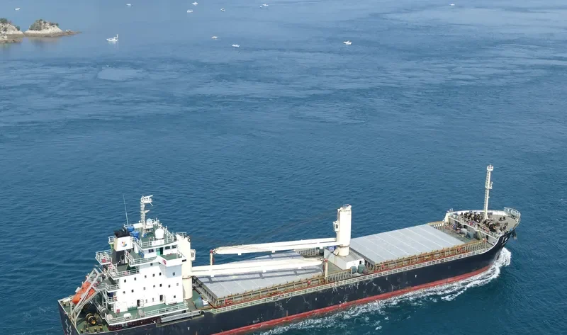SILVER LUCKY General Cargo IMO 9594676 photo 10