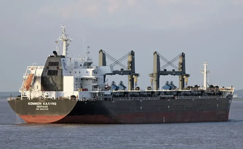 COMMON CALYPSO Bulk Carrier IMO 9594705 photo 3