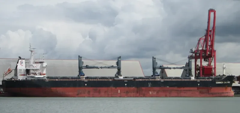 COMMON CALYPSO Bulk Carrier IMO 9594705 photo 4