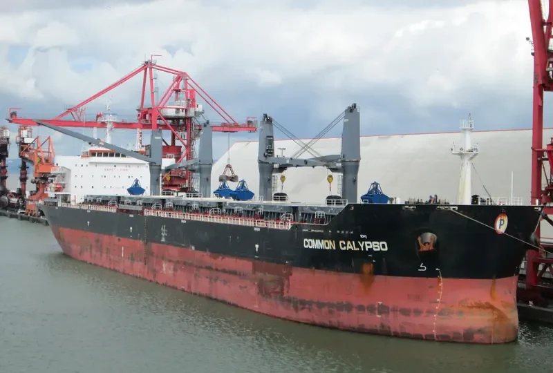 COMMON CALYPSO Bulk Carrier IMO 9594705 photo 5