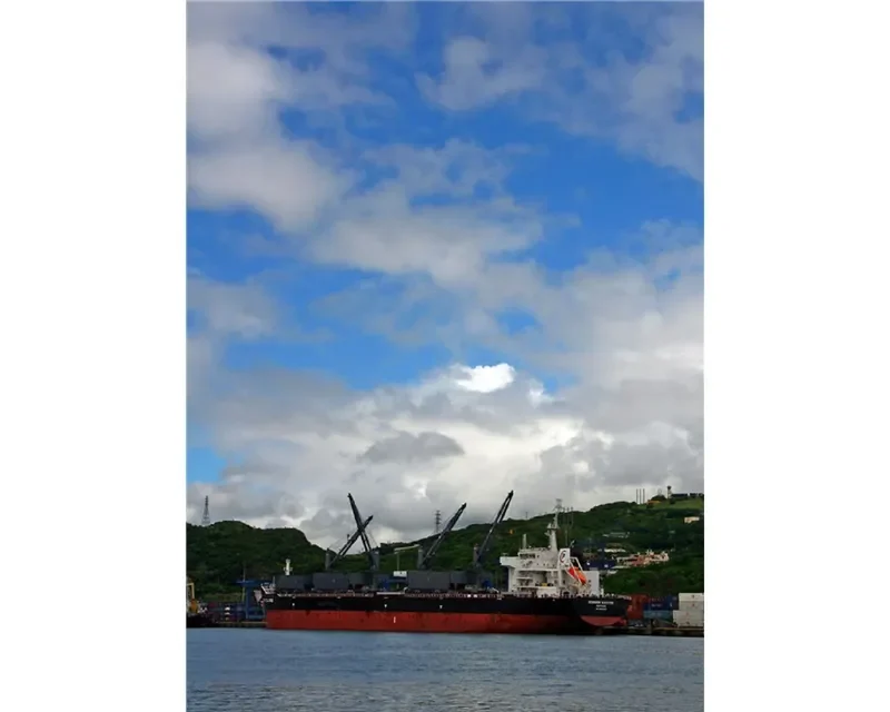 COMMON CALYPSO Bulk Carrier IMO 9594705 photo 7