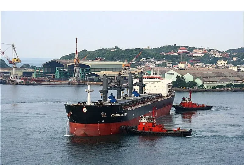 COMMON CALYPSO Bulk Carrier IMO 9594705 photo 8