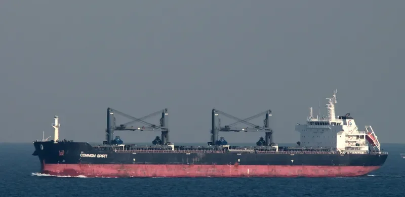 COMMON SPIRIT Bulk Carrier IMO 9594717 photo 2