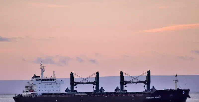 COMMON SPIRIT Bulk Carrier IMO 9594717 photo 4