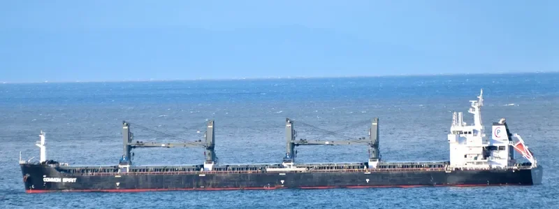 COMMON SPIRIT Bulk Carrier IMO 9594717 photo 5