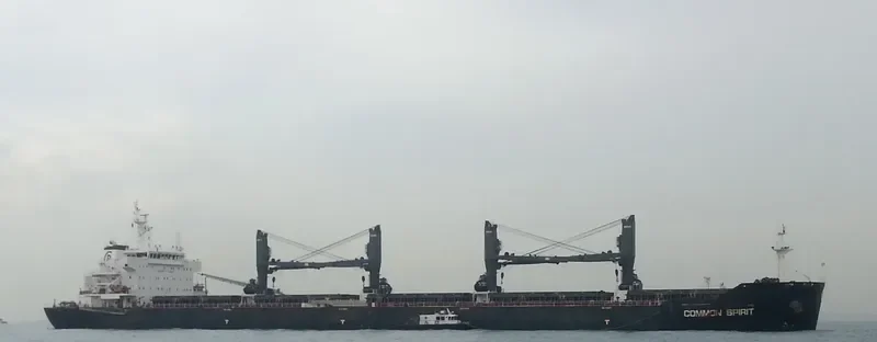 COMMON SPIRIT Bulk Carrier IMO 9594717 photo 7