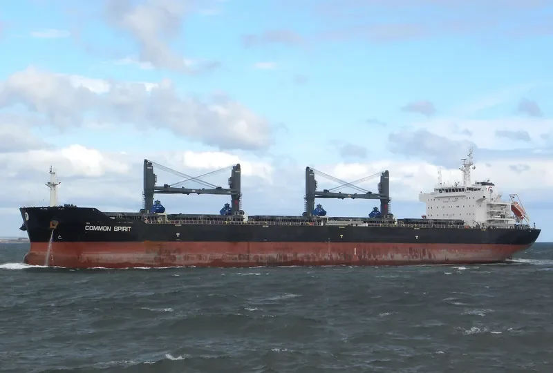 COMMON SPIRIT Bulk Carrier IMO 9594717 photo 9
