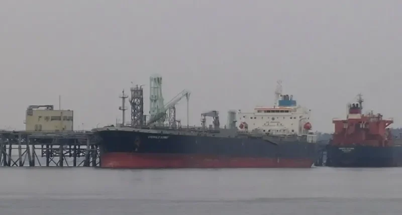 FLAGSHIP TULIP Tanker IMO 9594896 photo 6