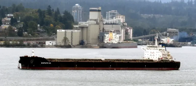 THEMIS Bulk Carrier IMO 9594913