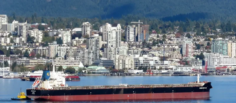 THEMIS Bulk Carrier IMO 9594913 photo 2
