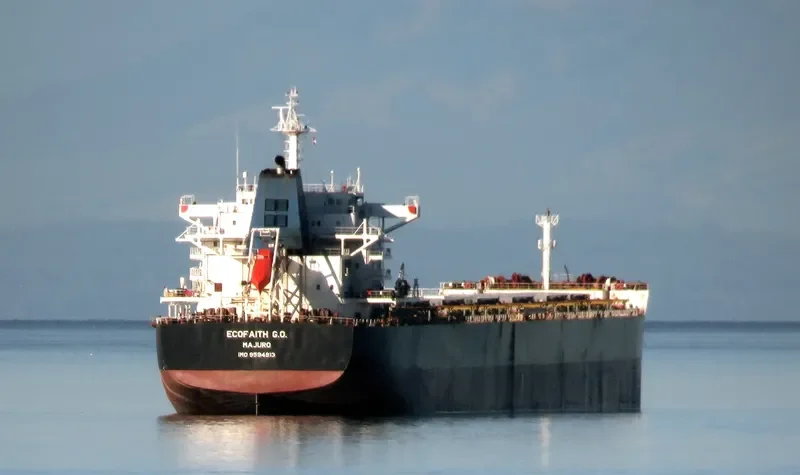 THEMIS Bulk Carrier IMO 9594913 photo 3