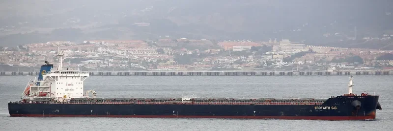 THEMIS Bulk Carrier IMO 9594913 photo 9