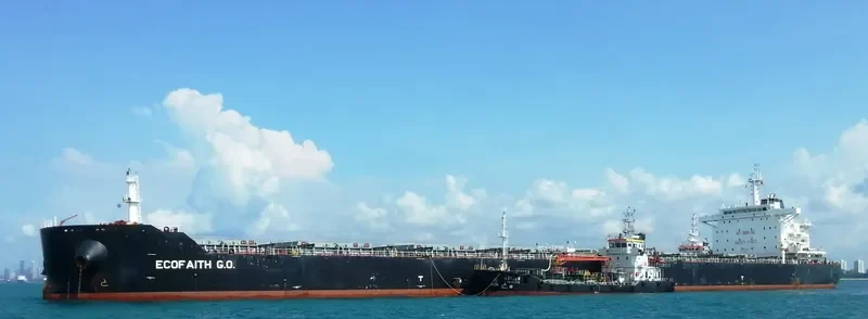 THEMIS Bulk Carrier IMO 9594913 photo 10